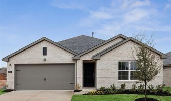 216 Tartane Dr, Anna, TX 75409