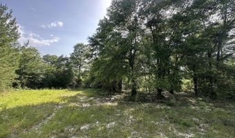 Parcel A Old River Road, Baker, FL 32531