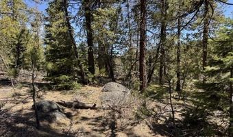 Horned Owl Lane, Bonanza, OR 97623