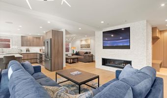 447 E Cooper Ave 1, Aspen, CO 81611
