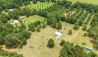 6308 NW 160TH St, Alachua, FL 32615