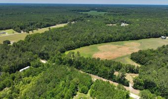 Rooks Road, Atkinson, NC 28421