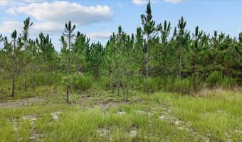 3670 25th Cir, Bell, FL 32619