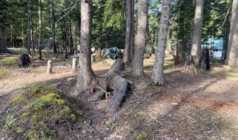Lots 35 & 36 Dolly Vardon, Bayview, ID 83803