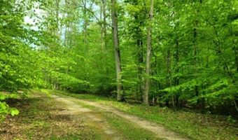 Barnes Road, Bardstown, KY 40004