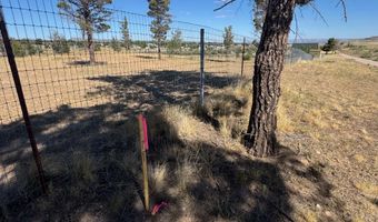 0 Tree Farm Ln, Chino Valley, AZ 86323