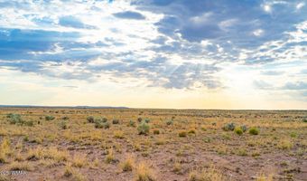 Tbd COUNTY ROAD N7012 40 ACRES, Chambers, AZ 86502