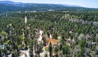 63 Cimarron Trl, Angel Fire, NM 87710