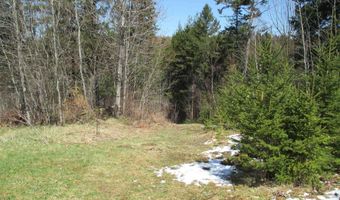 645 Evansville Rd, Brownington, VT 05860