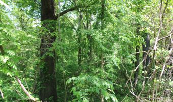 1800 Highway 4 E, Ashland, MS 38603