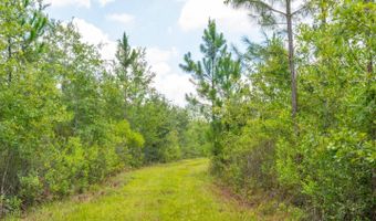 Val Del Road, Adel, GA 31620