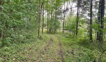 14900 Woodbridge Rd, Camden, MI 49232