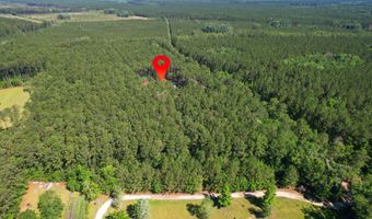 8144 Autumn Mist Ln, Adams Run, SC 29426
