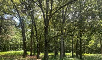 365 Skinner Rd, Austin, AR 72007