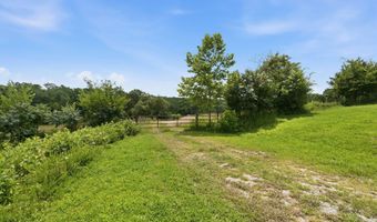 S State Highway 5, Ava, MO 65608