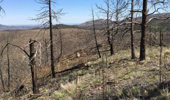 3600 Moondance Way, Bellvue, CO 80512