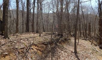 Gentry Farm Road, Aurora, NC 28743