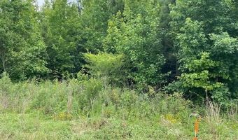 Lot 1-B Daniels Lane, Bennettsville, SC 29512