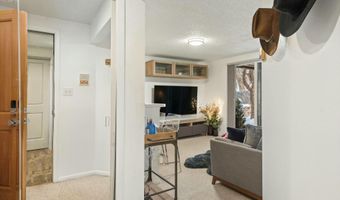 119 E Cooper Ave #5, Aspen, CO 81611
