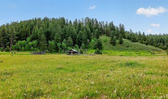 185 Lantern Way, Cascade, ID 83611
