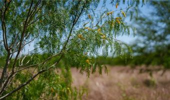 Fm-735, Alice, TX 78332