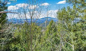 336 Witherite Dr, Divide, CO 80814
