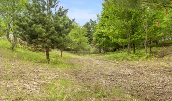 15380 Lake Bluff Dr, Arcadia, MI 49613