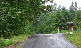 NE 389th St, Amboy, WA 98601