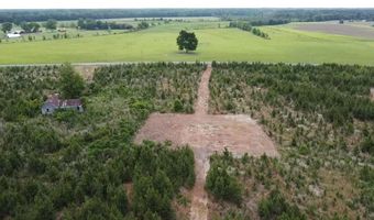 Attadale Rd lot 2, Blenheim, SC 29516