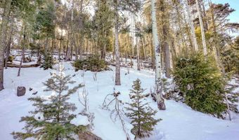45 And 46 Sacramento Dr, Angel Fire, NM 87710