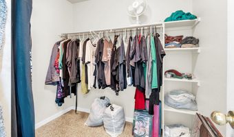 118 Linden Oaks Dr, Ault, CO 80610