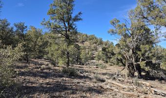 446 Arizona Rd, Ash Fork, AZ 86320
