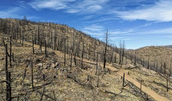 3600 Moondance Way, Bellvue, CO 80512