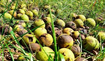 Hairfield Ln lot 0, Axton, VA 24054