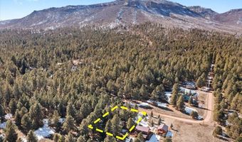24 Co Rd 2065, Alpine, AZ 85920