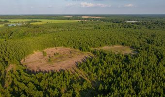 Mann Road 2, Arabi, GA 31712