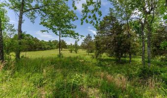 676 County Road 403, Alton, MO 65606