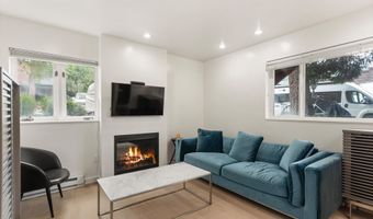 805 E Cooper Ave 2, Aspen, CO 81611
