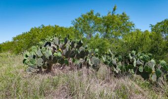 FM 735, Alice, TX 78332