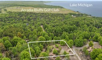 15380 Lake Bluff Dr, Arcadia, MI 49613
