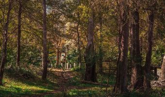 TBD State Rd 121, Alachua, FL 32615