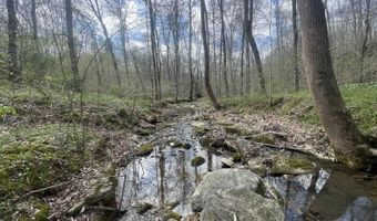 2375 Antioch Church Rd, Alvaton, KY 42122