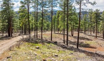 20861 Hwy 160, Bayfield, CO 81122