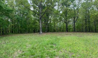 Co Rd 321 Route 5, Ava, MO 65608