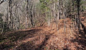 135 49ac Webb Creek Rd, Andrews, NC 28901