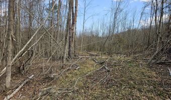 295 Shellstone Rd, Amsterdam, NY 12010