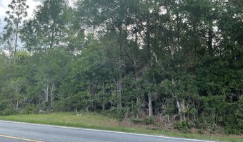 Lakepoint Road, Alford, FL 32420