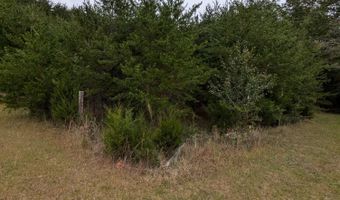 Lot 9 Foster Road, Blaine, TN 37709