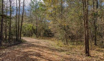 5280 Whitaker Way, Anderson, TX 77830