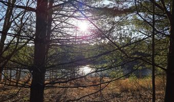 ON FARMING RD N lot 2, Arbor Vitae, WI 54568